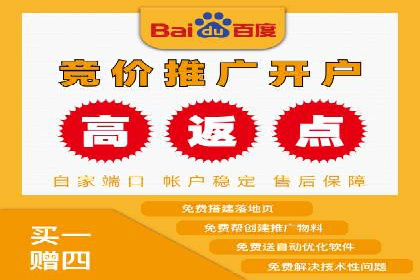 某知名企业SEM营销全案解析